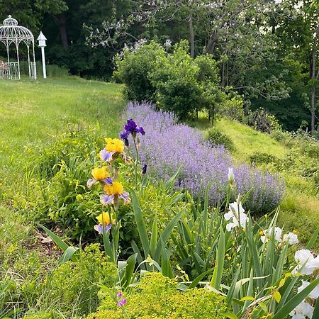 La Soledad Lavender Farm And Guesthouse ฮาร์เปอร์ส เฟอร์รี ภายนอก รูปภาพ