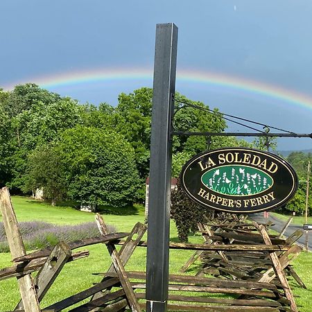 La Soledad Lavender Farm And Guesthouse ฮาร์เปอร์ส เฟอร์รี ภายนอก รูปภาพ