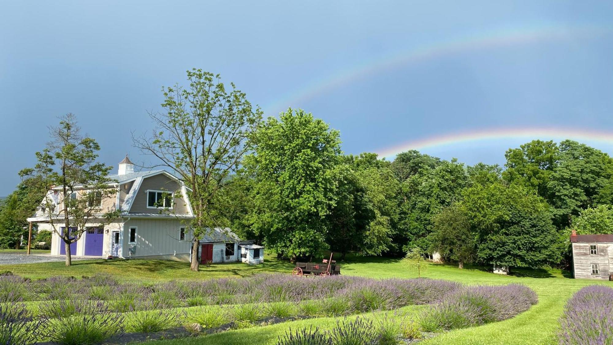 La Soledad Lavender Farm And Guesthouse ฮาร์เปอร์ส เฟอร์รี ภายนอก รูปภาพ
