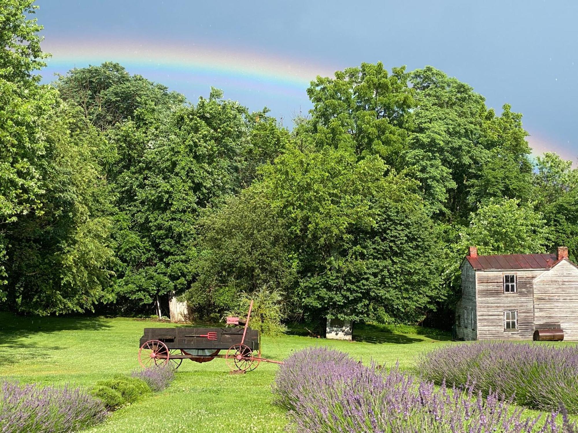 La Soledad Lavender Farm And Guesthouse ฮาร์เปอร์ส เฟอร์รี ภายนอก รูปภาพ